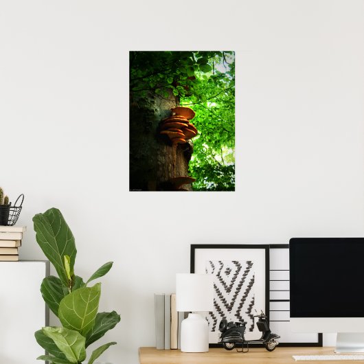 Poster champignons (Bureau à domicile)