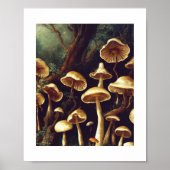 Poster Champignons (Devant)