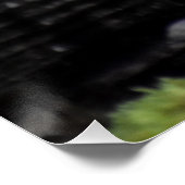Poster Champignons (Coin)