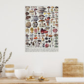 Poster Champignons 2 (Cuisine)