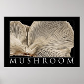 Poster Champignons 2 (Devant)