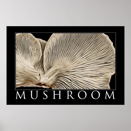 Poster Champignons 2 (Devant)