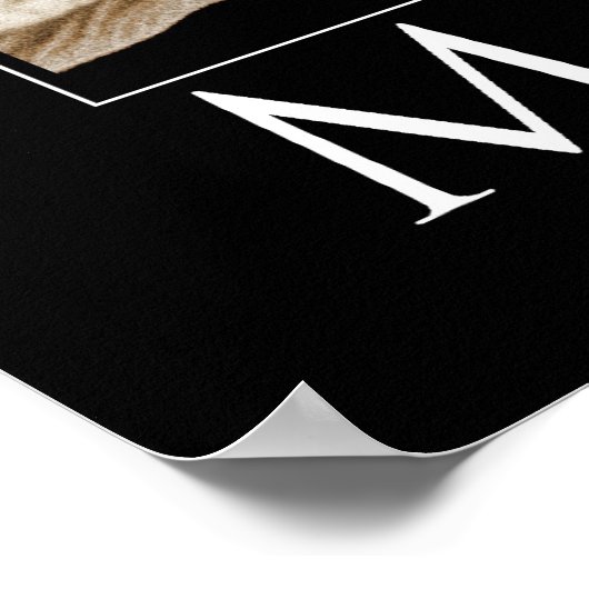 Poster Champignons 2 (Coin)