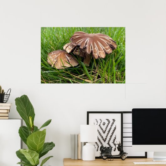 Poster Champignons à capuchon brun (Bureau à domicile)