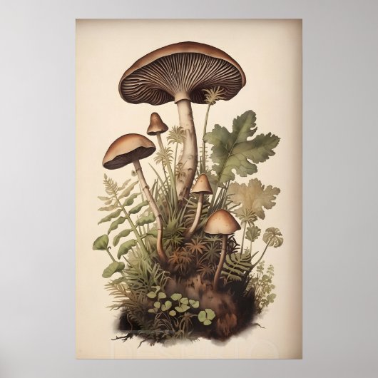 Poster Champignons Botaniques Dans La Fougère De Mousse,  (Devant)