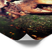 Poster Champignons Brown Sauvages Dans La Crevice Arbre (Coin)