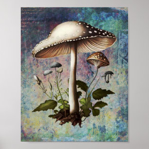 Poster Champignons, Champignons Vintages numériques