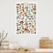 Poster Champignons - Collection de champignons (Cuisine)