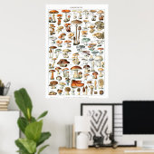 Poster Champignons - Collection de champignons (Bureau à domicile)