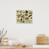 Poster Champignons comestibles - Champignons et tabourets (Cuisine)
