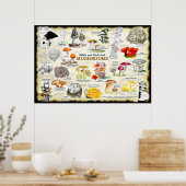 Poster Champignons (comestibles et médicinaux) (Cuisine)