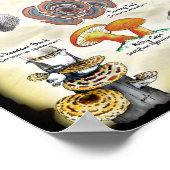 Poster Champignons (comestibles et médicinaux) (Coin)