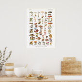 Poster Champignons comestibles Français Poisonous Variété (Cuisine)