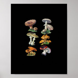 Poster Champignons Cottagecore Goblincore Esthétique Cham
