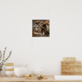 Poster Champignons d'amour des champignons (Cuisine)