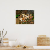 Poster Champignons dans la forêt (Cuisine)