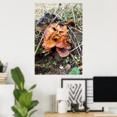 Poster Champignons dans la forêt (Bureau à domicile)