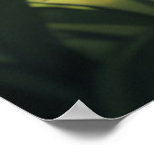 Poster Champignons dans la forêt (Coin)