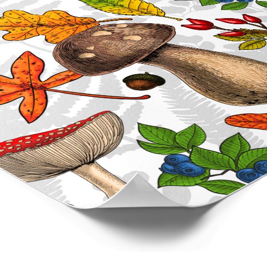 Poster Champignons d'automne, feuilles, noix et baies sur (Coin)