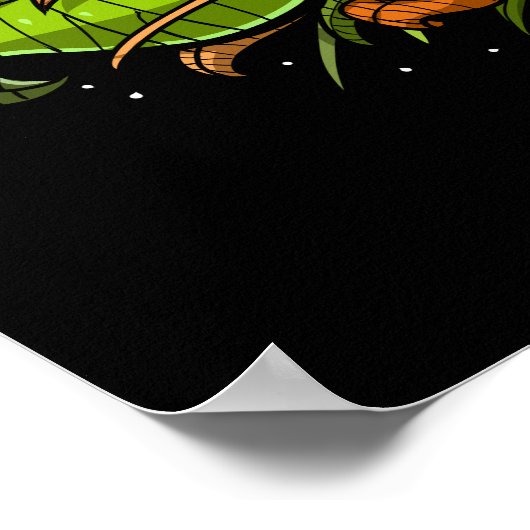 Poster Champignons de champignons magiques (Coin)