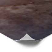 Poster Champignons de Crimini (Coin)