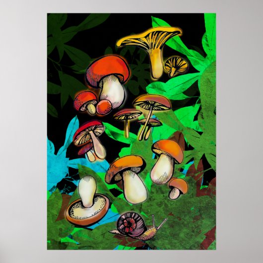 Poster Champignons de forêt et escargots (Devant)