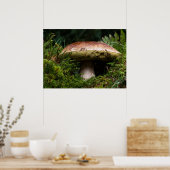 Poster Champignons de Porcino (Cuisine)