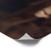 Poster Champignons en pleine forêt (Coin)