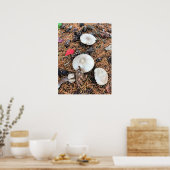 Poster Champignons et cônes de pin (Cuisine)