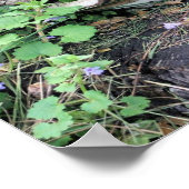 Poster Champignons Et Fleurs Séchés Sur La Pompe D'Arbre (Coin)