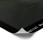 Poster Champignons magiques (Coin)