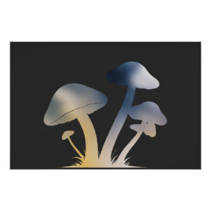 Poster Champignons Nature Environnement Vie Silhouette St