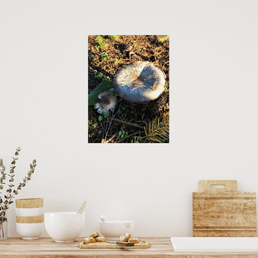 Poster Champignons, Oregon (Cuisine)