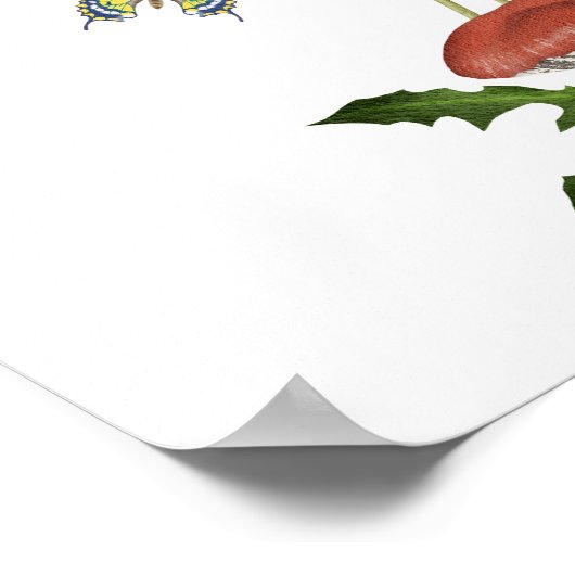 Poster Champignons sauvages baby shower Faveurs (Coin)