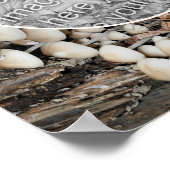 Poster Champignons sauvages blancs Nature Créez votre pro (Coin)