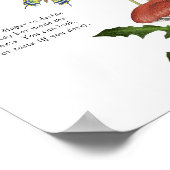 Poster champignons sauvages Devinez le jeu du gâteau (Coin)
