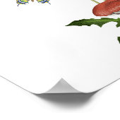 Poster Champignons sauvages Nom du jeu d'alimentation pou (Coin)