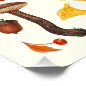 Poster Champignons sauvages sur blanc (Coin)