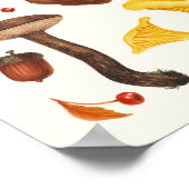 Poster Champignons sauvages sur fond blanc cassé (Coin)