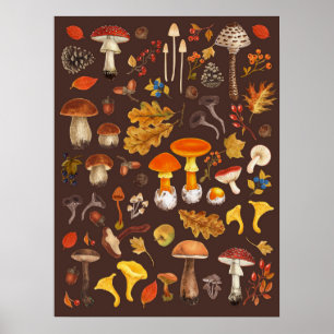 Poster Champignons sauvages sur fond marron