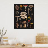 Poster Champignons sauvages sur fond noir graphite (Cuisine)