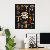Poster Champignons sauvages sur fond noir graphite (Bureau à domicile)