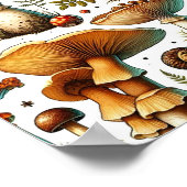 Poster Champignons sauvages Whimsical (Coin)