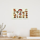 Poster Champignons toxiques vintage 1908 (Cuisine)