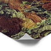 Poster Champignons vintages (Coin)