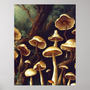 Poster Champignons vintages