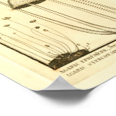 Poster Champignons vintages Brown Blanc Art français Impr (Coin)