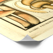 Poster Champignons vintages Brown Jaune Art Français Impr (Coin)