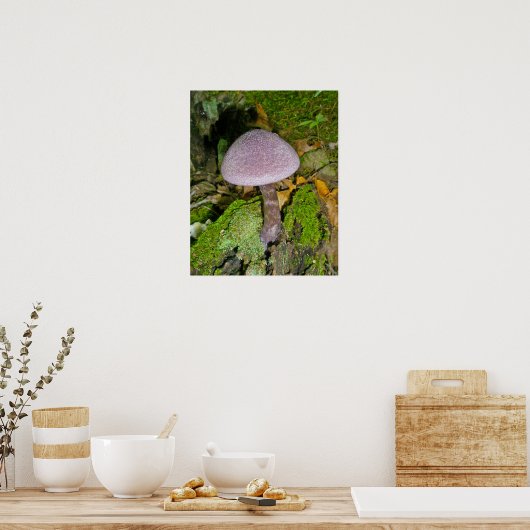 Poster Champignons violets sur l'affiche du journal de Mo (Cuisine)