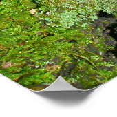 Poster Champignons violets sur l'affiche du journal de Mo (Coin)